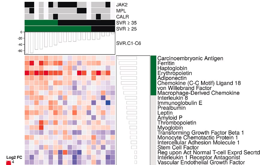 Fedratinib Biomarker Analysis