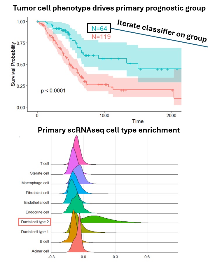 Single-cell Transcriptomics Classifier