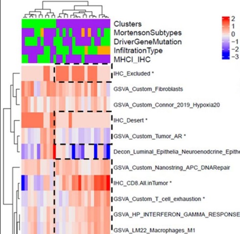 Molecular Profiling in Prostate Cancer