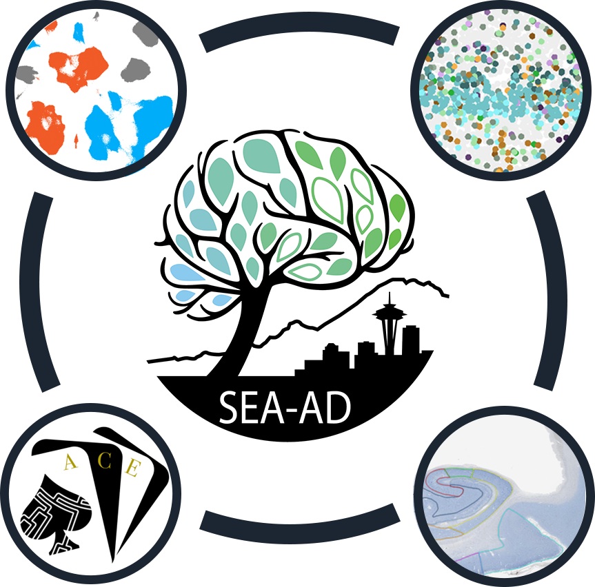 Seattle Alzheimer's Disease Brain Cell Atlas Explorer