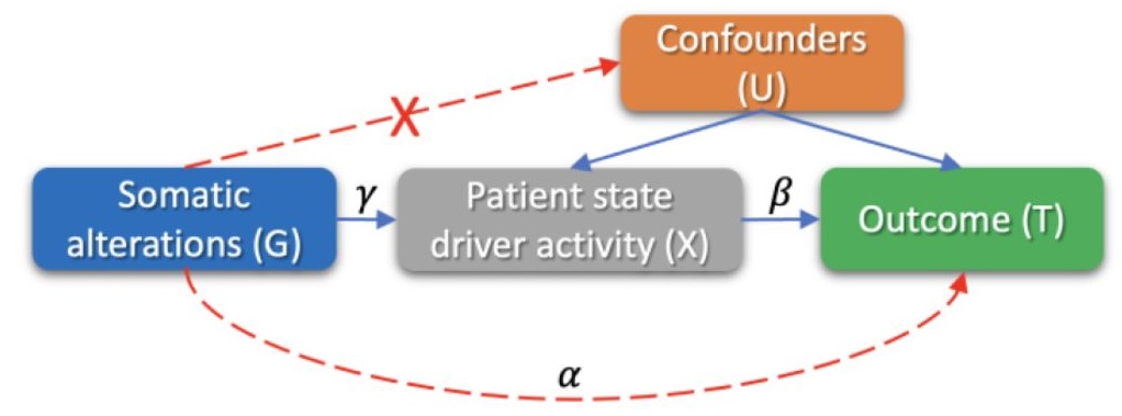Somatic-IV Analysis in Cancer Progression
