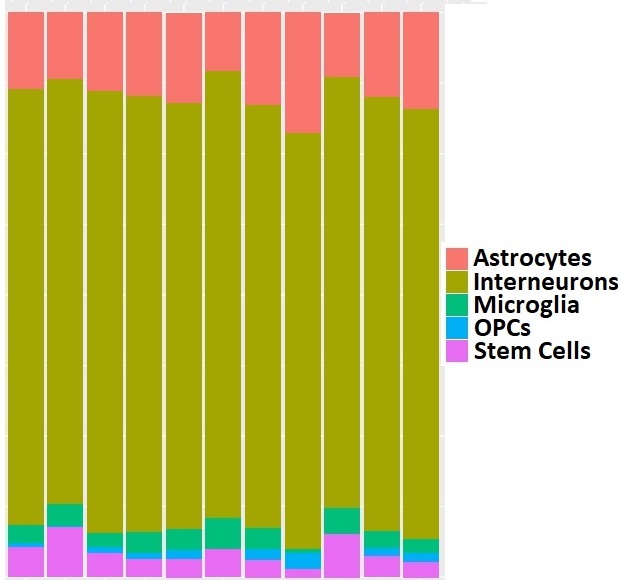 Cell Type Fraction Estimation in stem cell-derived Neural Cultures