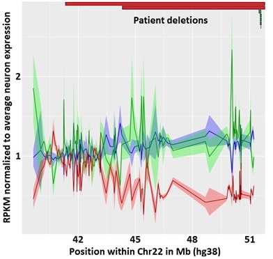 Effect of Patient Deletion Size on Gene Expression in Chromosome 22